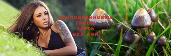 прущая мука Протвино