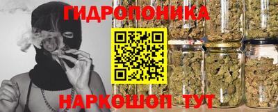 прущие грибы Среднеуральск