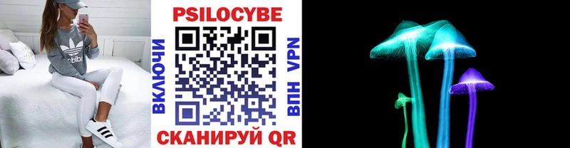 Псилоцибиновые грибы мухоморы  наркотики  Хабаровск 