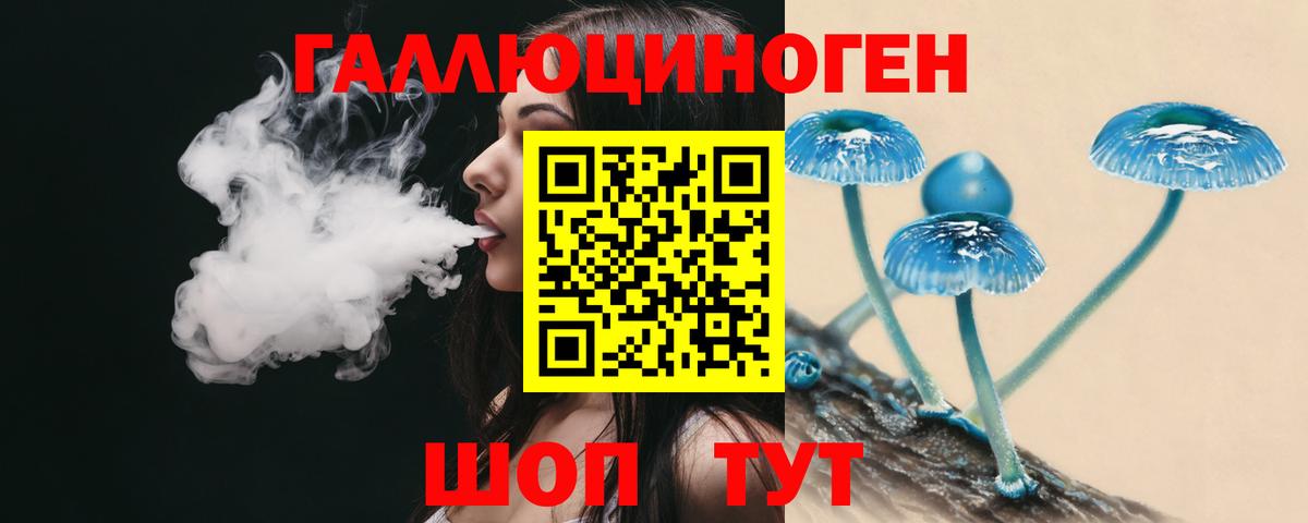 сколько стоит  Вход с VPN  Хабаровск  Псилоцибиновые грибы ЛСД  Галлюциногенные грибы Psilocybe 